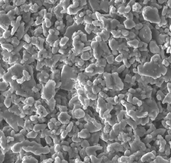 Polvere di lucidatura dell'allumina 0.6µm